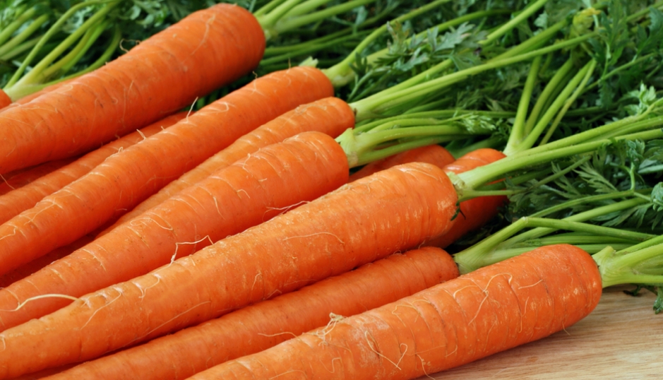 Καρότα